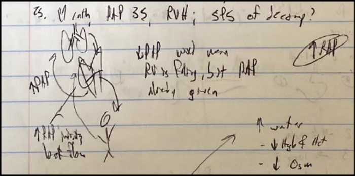 hemodynamic sketches