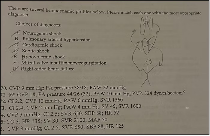 hemodynamic sketches